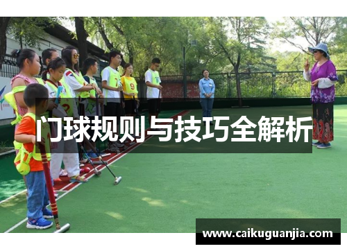 门球规则与技巧全解析